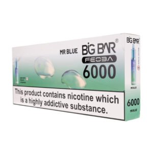 Feoba Big Bar 6000 Disposable Vape [Pack of 5]
